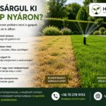kertgondozás, kertépítés, kertgondozás budapest, kertépítés budapest, öntözőrendszer, öntözőrendszer budapest, miért sárgul ki a gyep nyáron